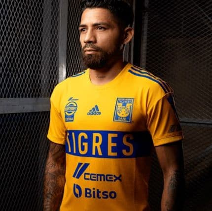 TIGRES