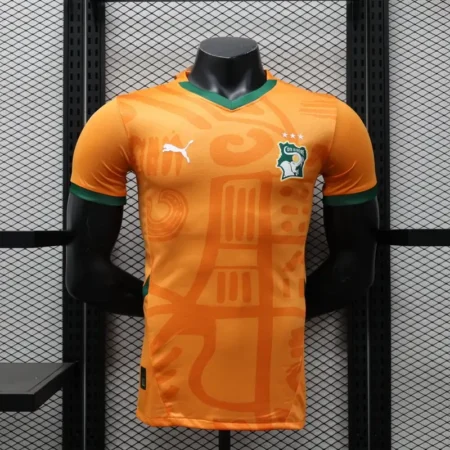 Côte d'ivoire Maillot Domicile Version Player 2024