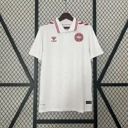 Denmark Maillot Extérieur 2024