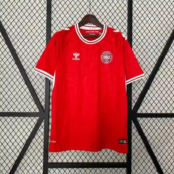 Denmark Maillot Domicile 2024