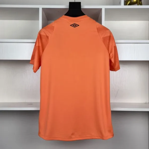 Fluminense Maillot Spécial Edition 6 2024-25 – Image 2