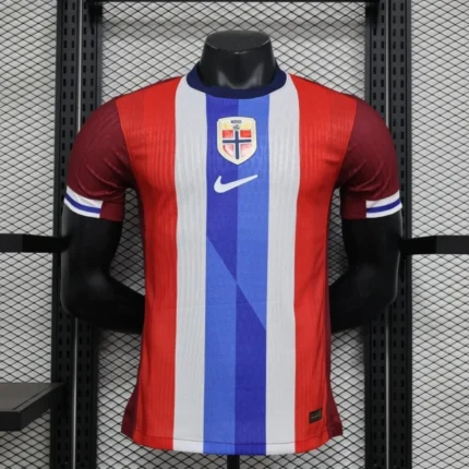 Norvege Maillot Domicile Version Player 2024