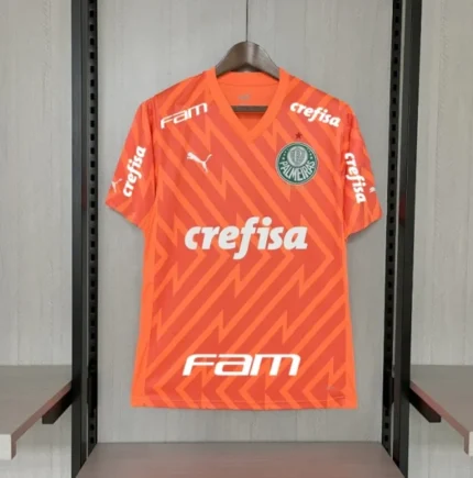 Palmeiras Maillot Spécial Edition 10 2024-25