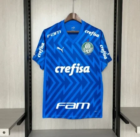 Palmeiras Maillot Spécial Edition 12 2024-25