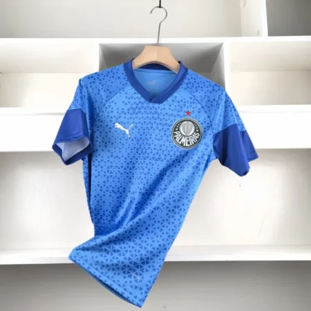 Palmeiras Maillot Spécial Edition 8 2024-25