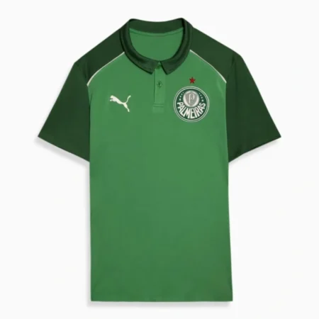 Palmeiras Maillot Spécial Edition 9 2024-25