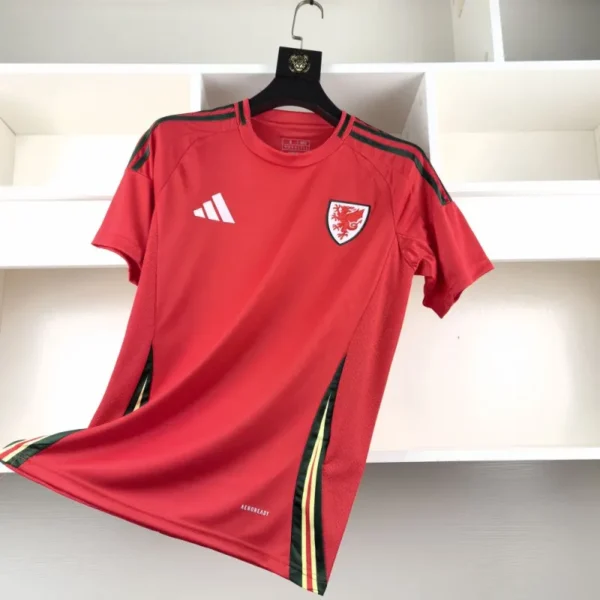 Pays de Galles Maillot Domicile 2024