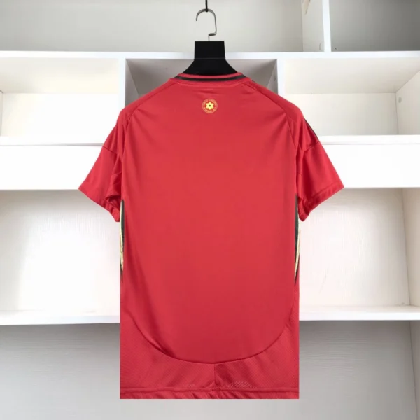 Pays de Galles Maillot Domicile 2024 – Image 2