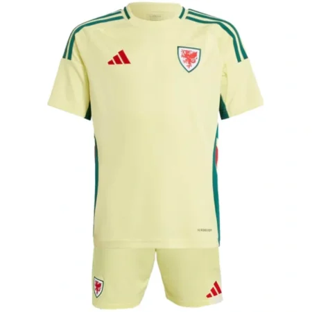 Pays de galles Maillot Enfant Extérieur 2024