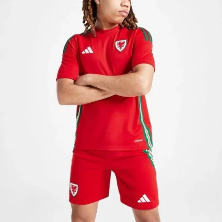 Pays de galles Maillot Enfant Domicile 2024