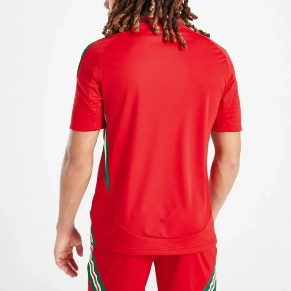 Pays de galles Maillot Enfant Domicile 2024 – Image 2