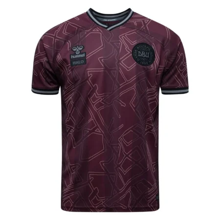 Denmark Maillot Spécial Edition 2 2024